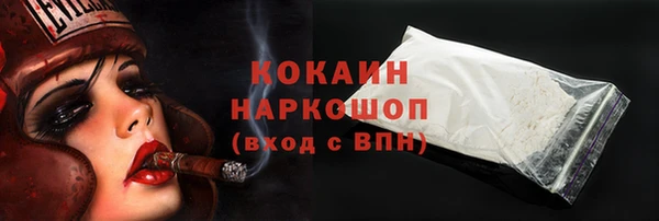spice Гвардейск