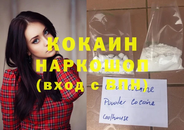 spice Гвардейск