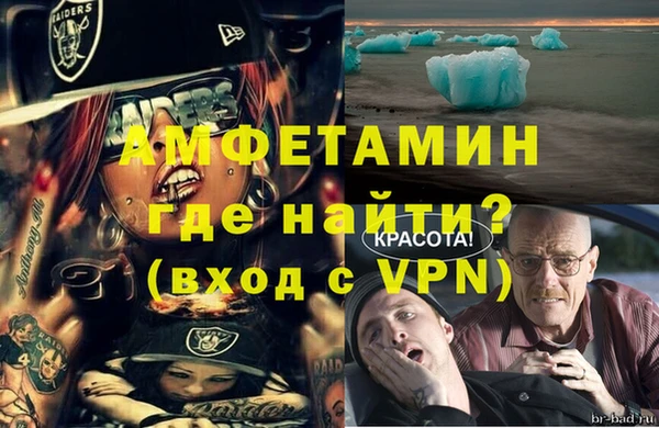 гашик Гатчина