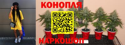 бошки Аргун