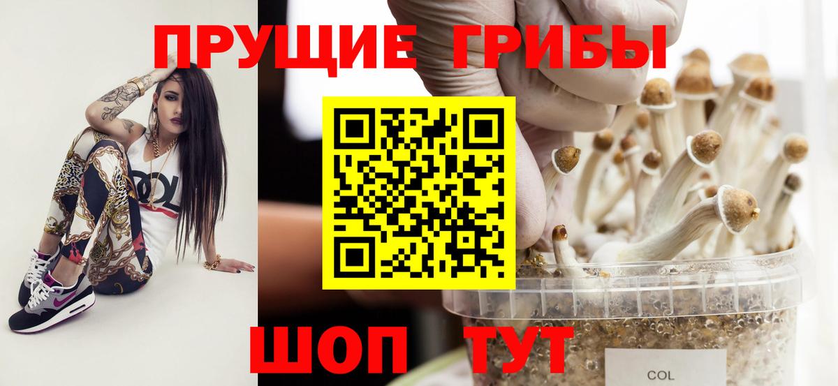Галлюциногенные грибы мицелий  Псилоцибиновые грибы мухоморы  наркошоп  Вход с VPN  Кировск 